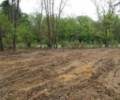LOTS CLEARED